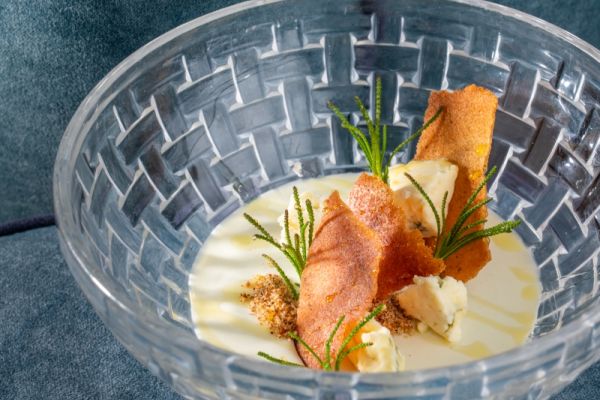 Tolbán blue cheese panna cotta with r ye bread and chestnut honey