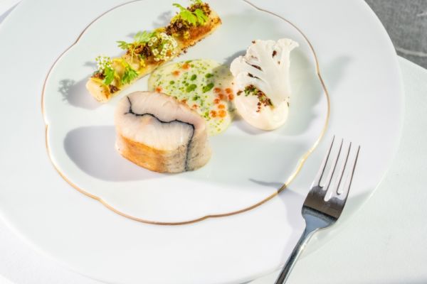 STURGEON FROM KESZTHELY WITH ORDA CHEESE GNOCCHI AND CHAMPAGNE SAUCE